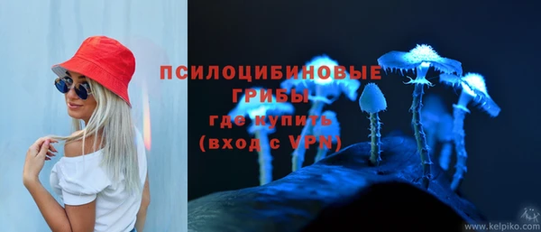 дурь Абаза