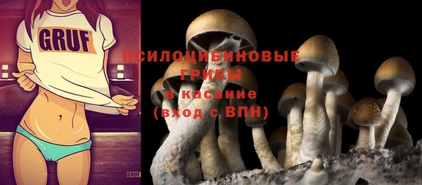 твердый Новокубанск